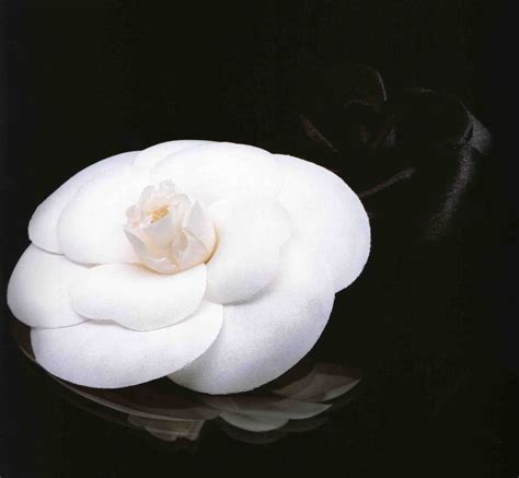 chanel la camelia|Chanel camellia flower.